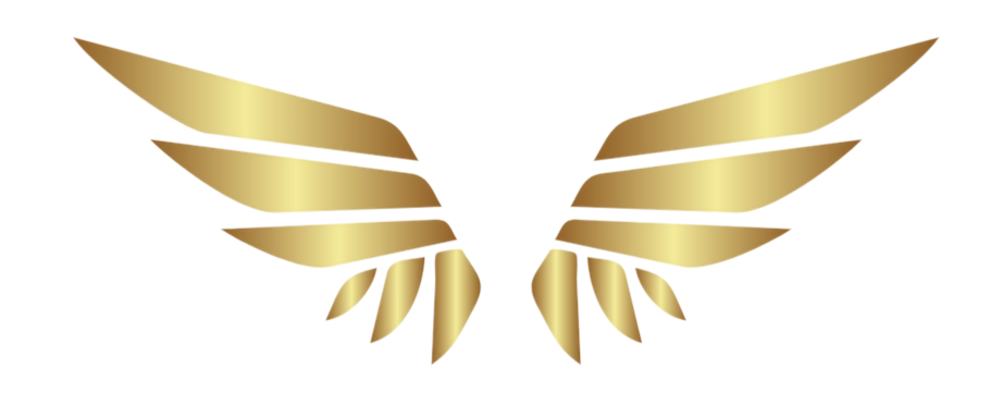 Event Visionary logo